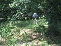 Zoo Cottbus 122